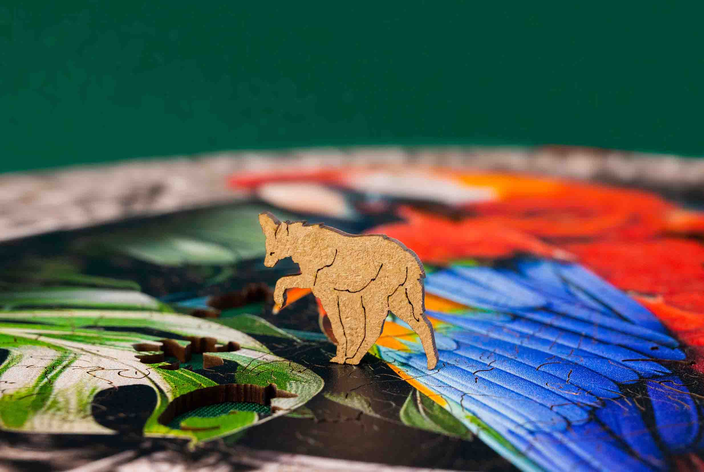 макросъемка-санкт-петербург