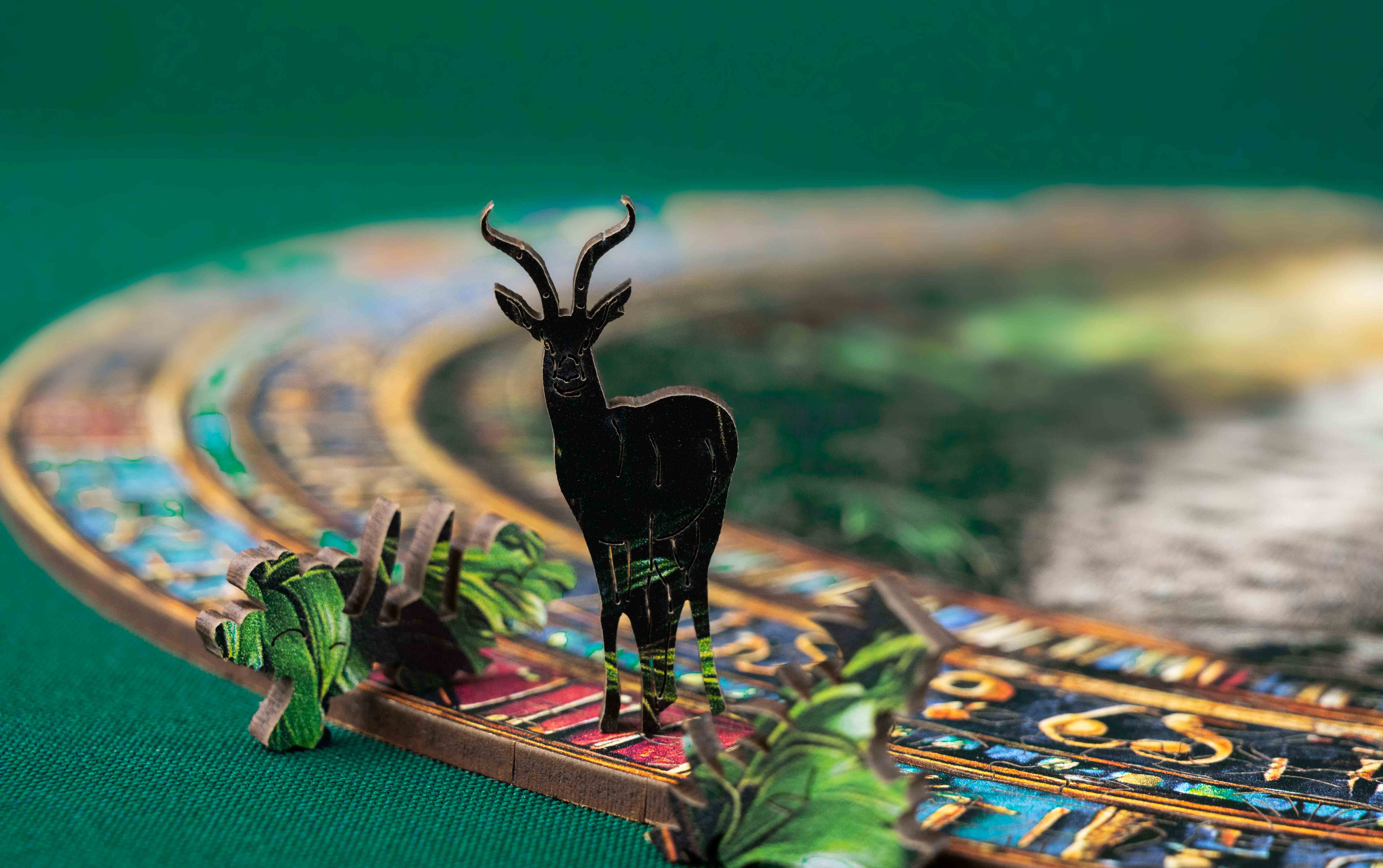 макросъемка-санкт-петербург