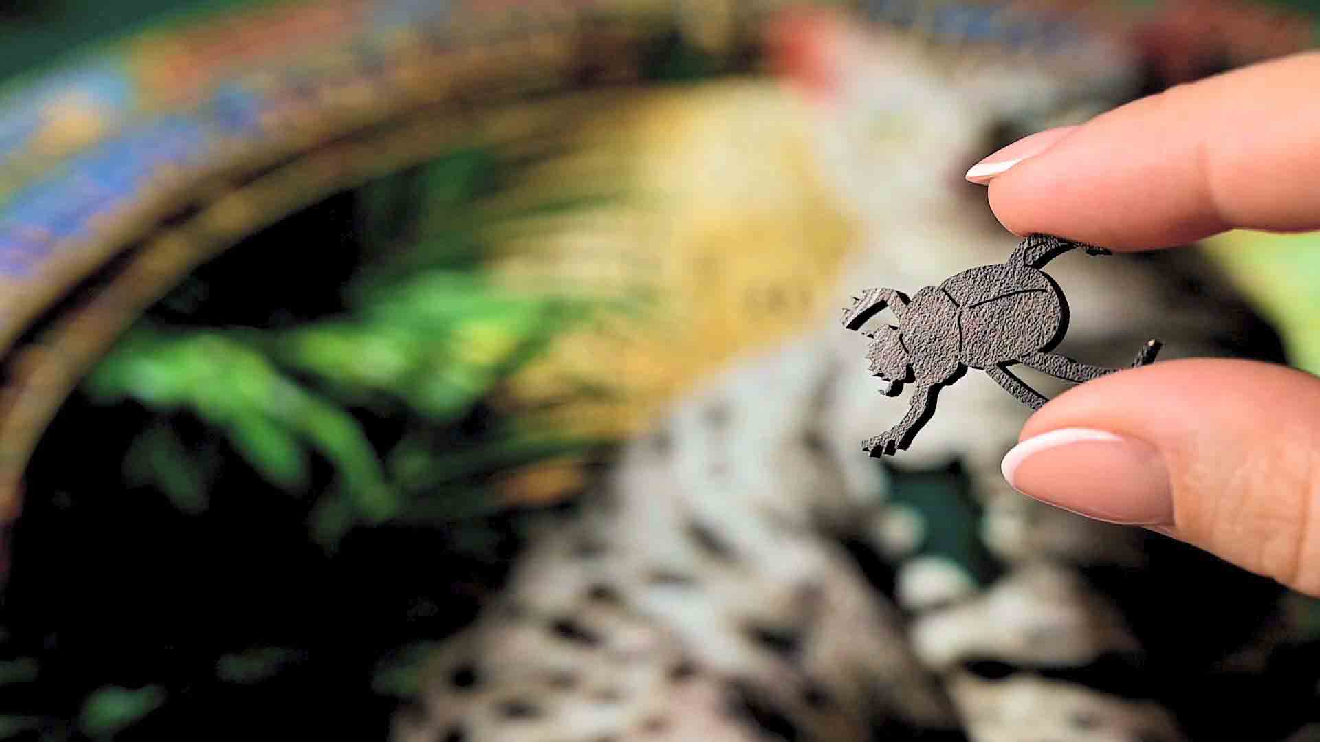 макросъемка-санкт-петербург